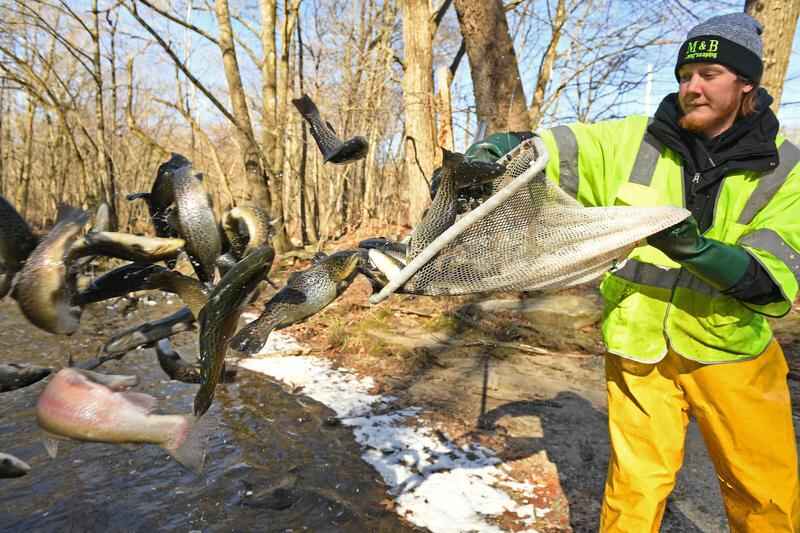 Connecticut is stocking waterways with trout
