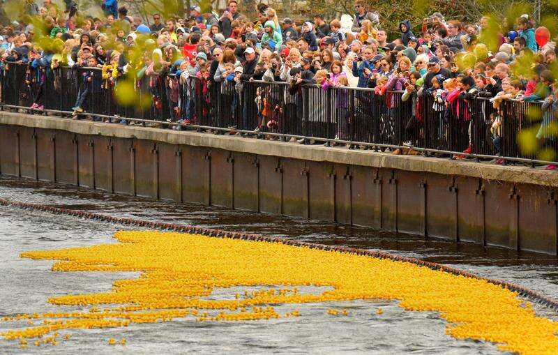Pawcatuck River Duck Race looks to set record