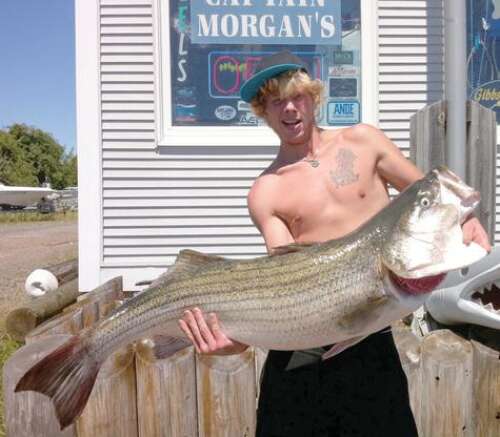 Bass News: Striper Stocks and 50 Count - The Fisherman