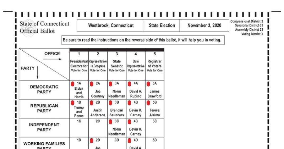 Election 2020 Westbrook Poll Information