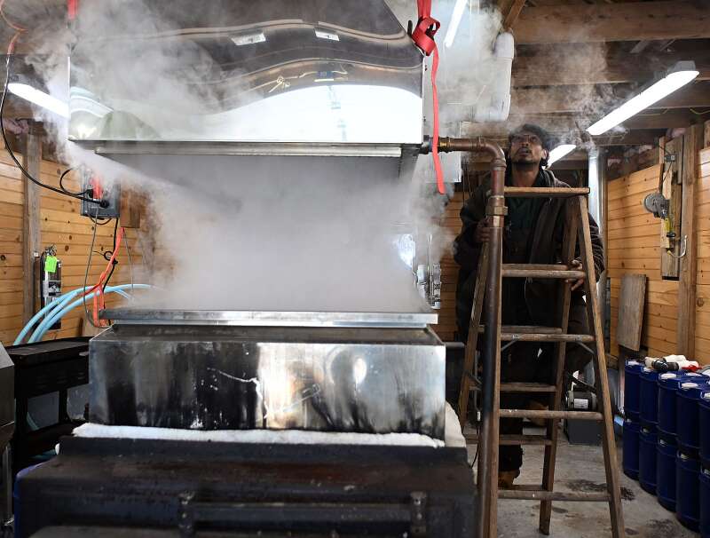 Making Maple Syrup at a farm in Mashantucket