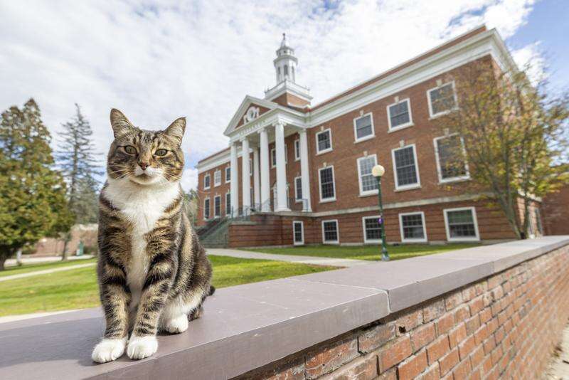 College puts 'cat' into 'education' by giving Max honorary 'doctor of litter-ature' degree