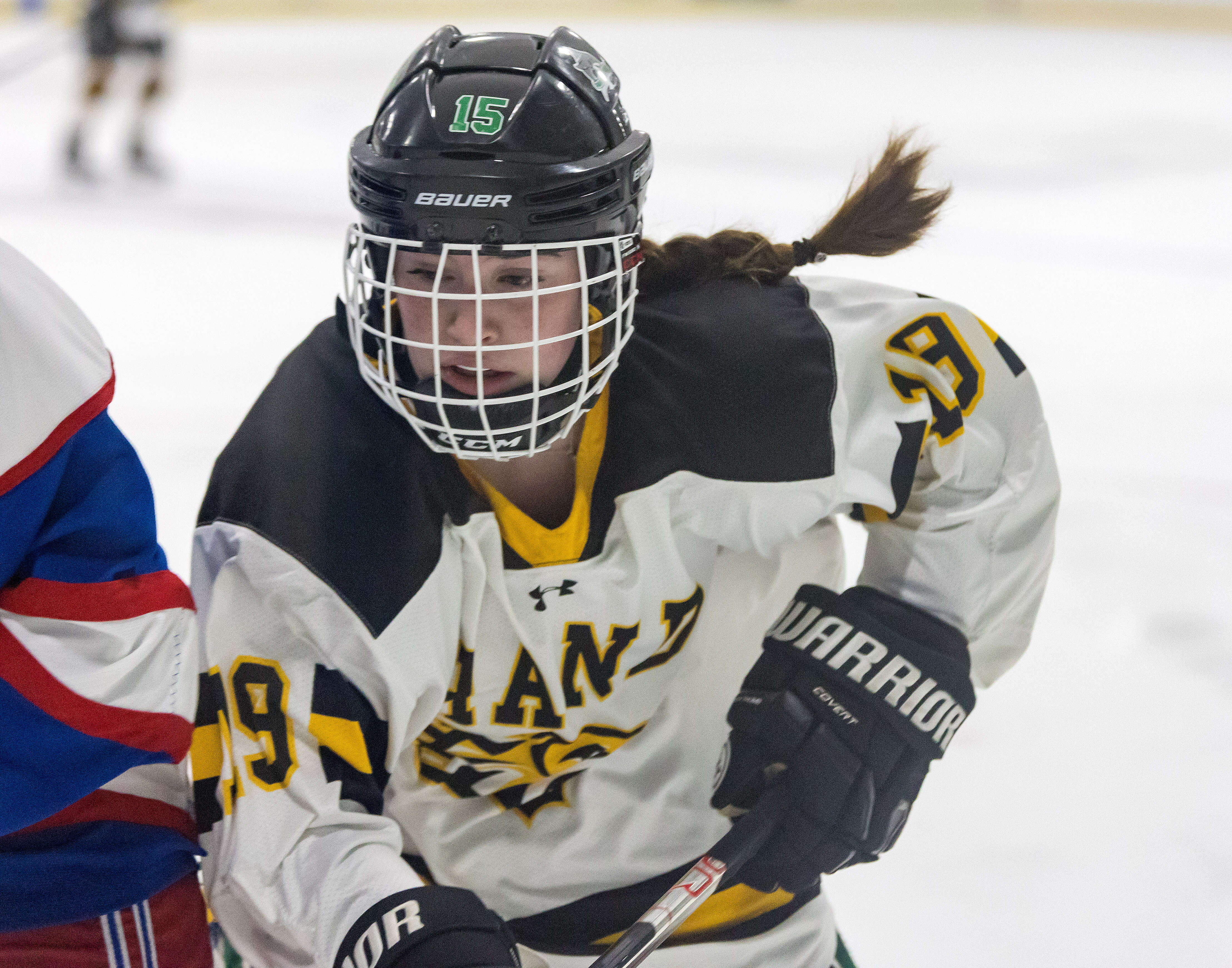 Tigers' Co-op Girls' Hockey Team Takes Defeat to WH-SHA