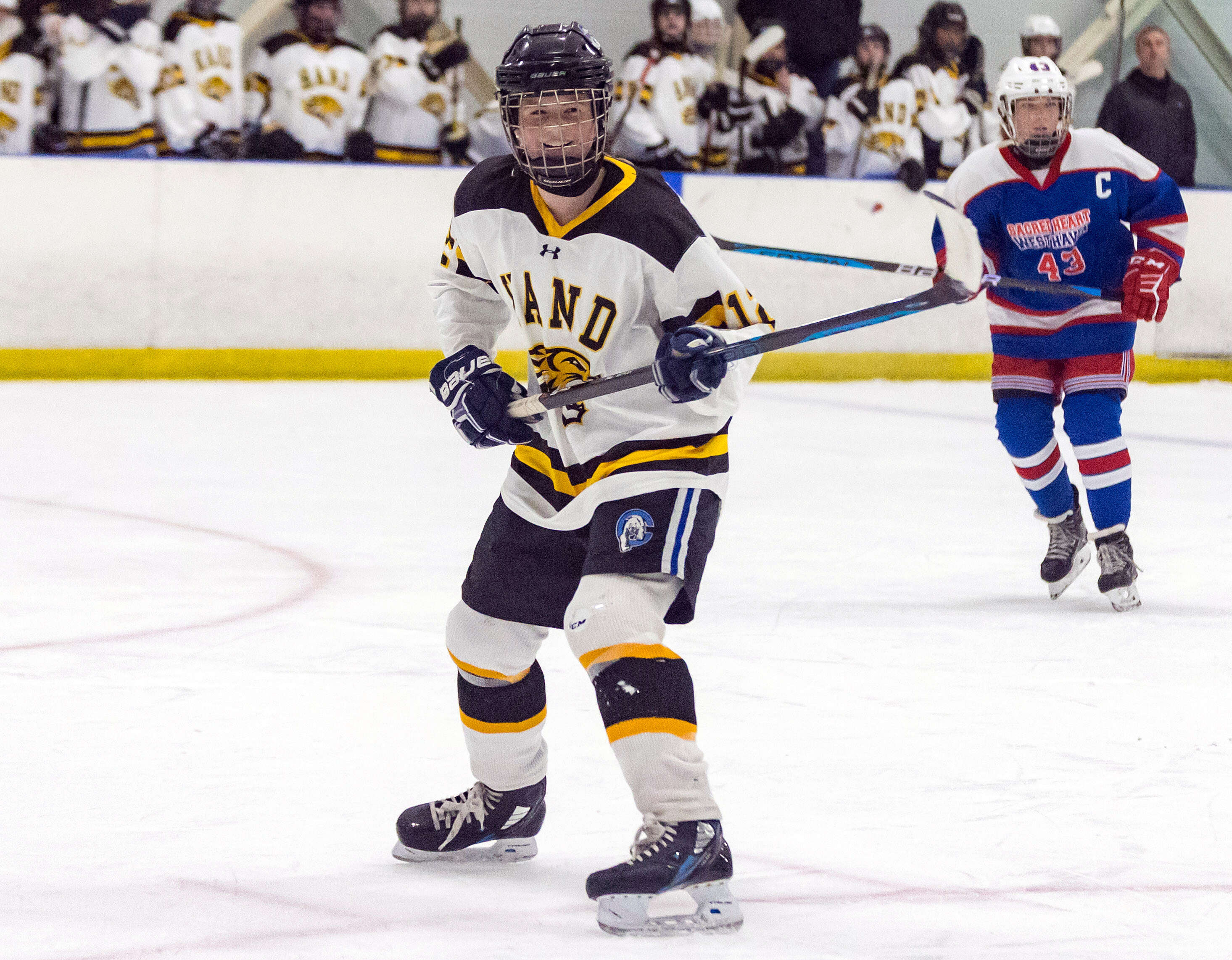 Tigers' Co-op Girls' Hockey Team Takes Defeat to WH-SHA