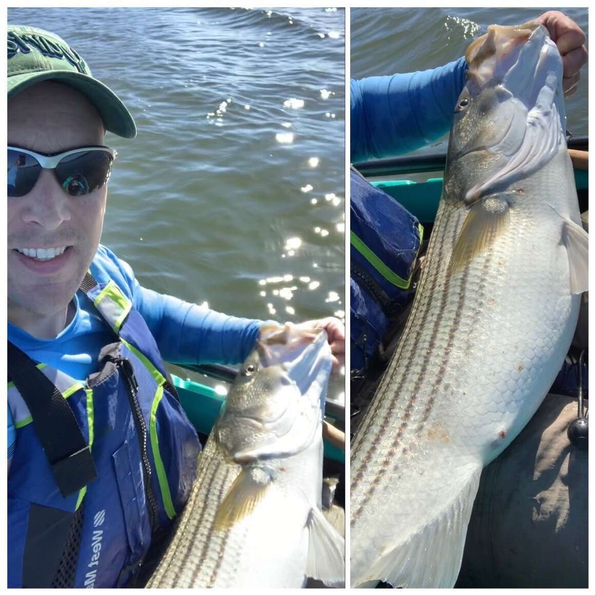 Outstanding Week of Striped Bass and Blackfish