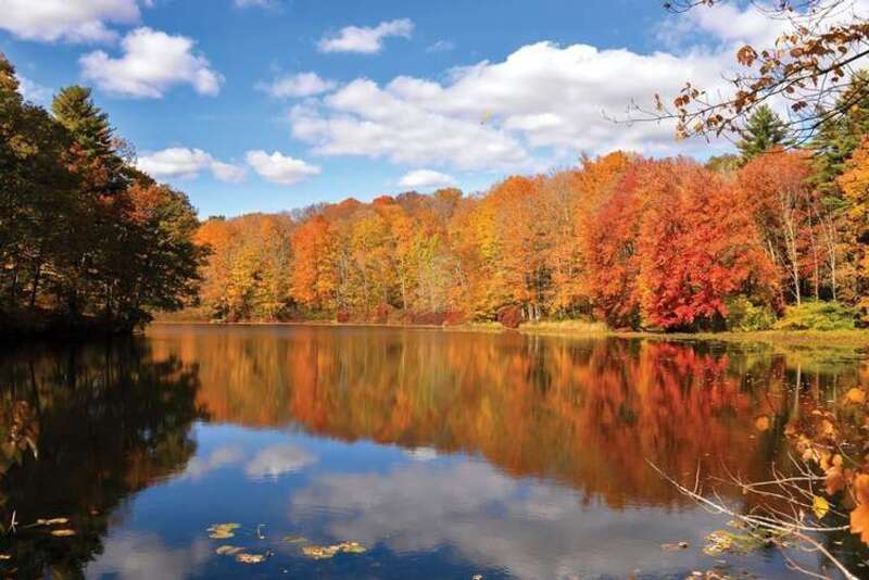 For The Best Fall Foliage, Keep An Eye On The Weather